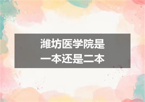 潍坊医学院是一本还是二本