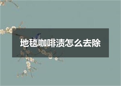 地毯咖啡渍怎么去除