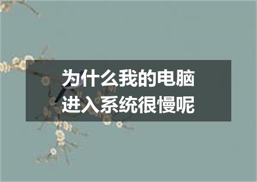 为什么我的电脑进入系统很慢呢