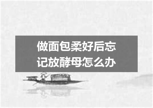 做面包柔好后忘记放酵母怎么办