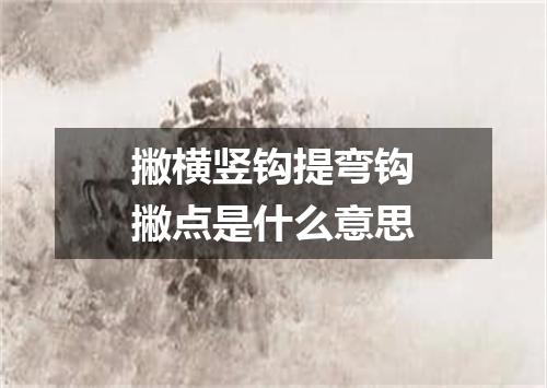 撇横竖钩提弯钩撇点是什么意思