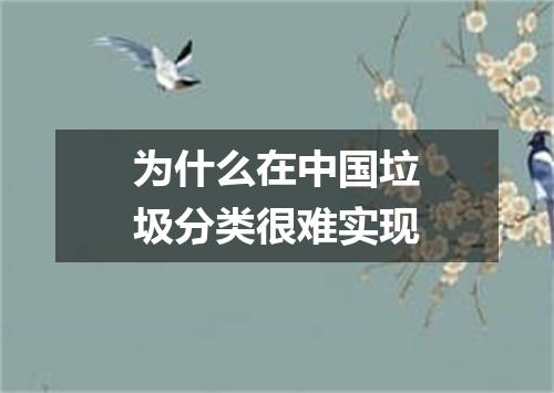 为什么在中国垃圾分类很难实现