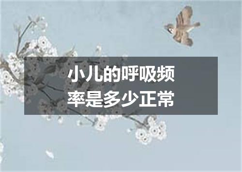 小儿的呼吸频率是多少正常