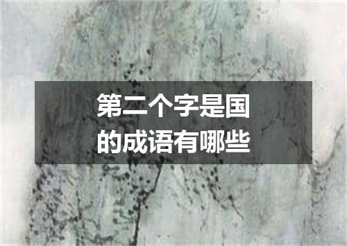 第二个字是国的成语有哪些