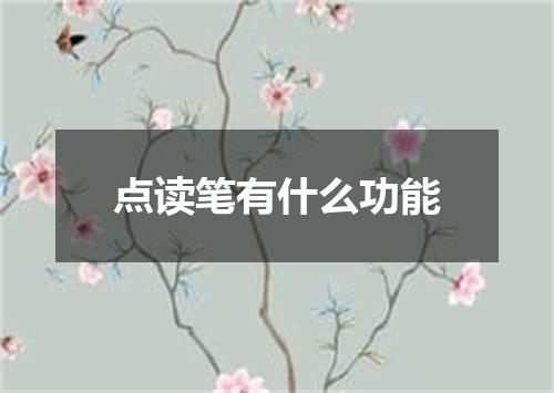 点读笔有什么功能