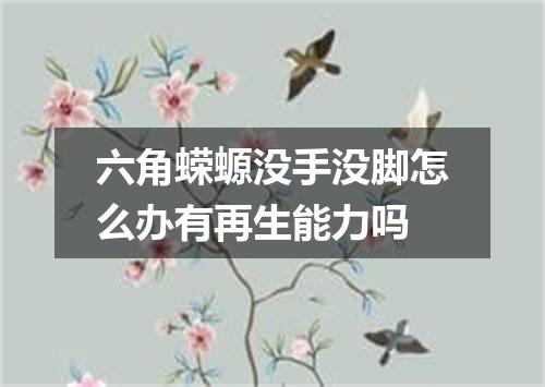六角蝾螈没手没脚怎么办有再生能力吗