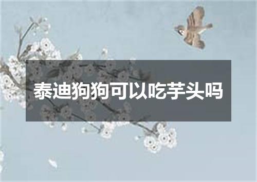 泰迪狗狗可以吃芋头吗