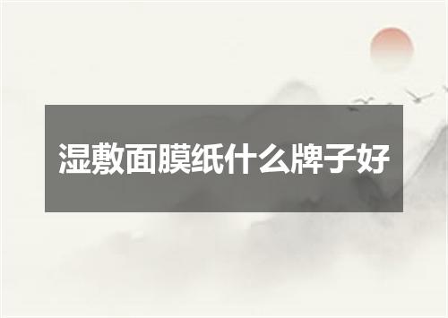 湿敷面膜纸什么牌子好
