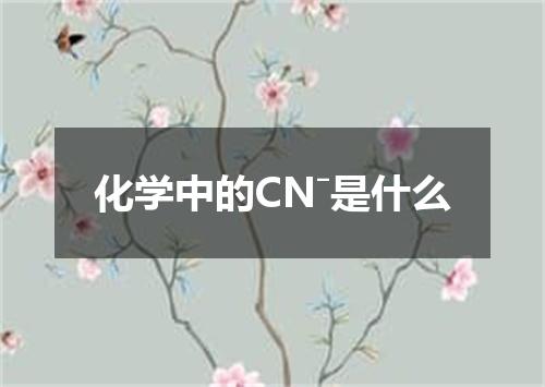 化学中的CNˉ是什么
