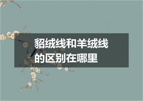 貂绒线和羊绒线的区别在哪里