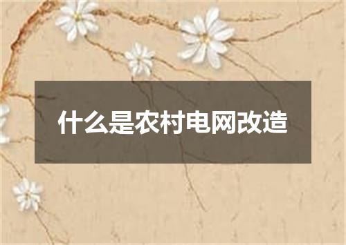 什么是农村电网改造