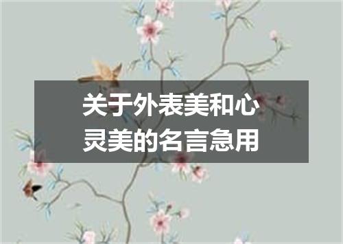 关于外表美和心灵美的名言急用