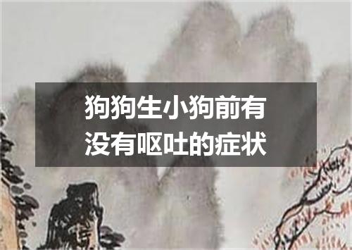 狗狗生小狗前有没有呕吐的症状