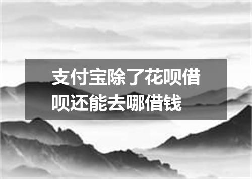 支付宝除了花呗借呗还能去哪借钱