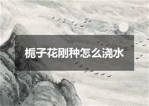 栀子花刚种怎么浇水