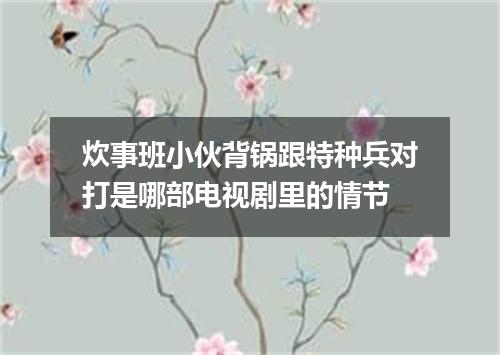 炊事班小伙背锅跟特种兵对打是哪部电视剧里的情节