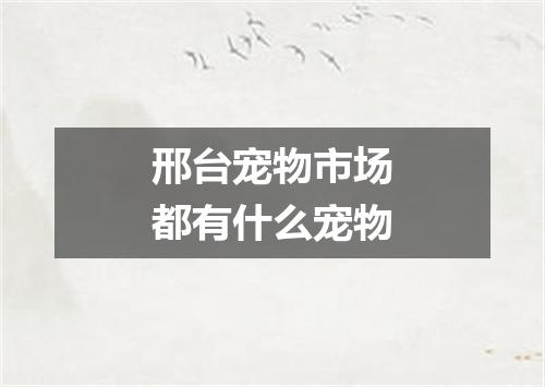邢台宠物市场都有什么宠物