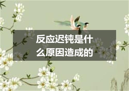 反应迟钝是什么原因造成的