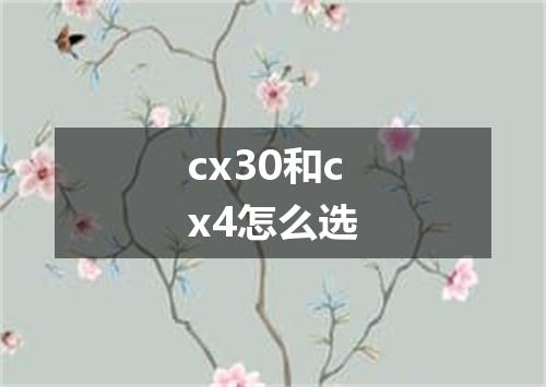 cx30和cx4怎么选