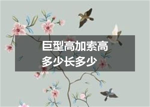 巨型高加索高多少长多少