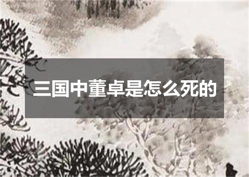 三国中董卓是怎么死的