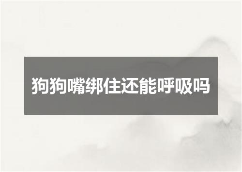 狗狗嘴绑住还能呼吸吗
