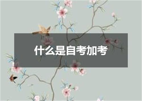 什么是自考加考