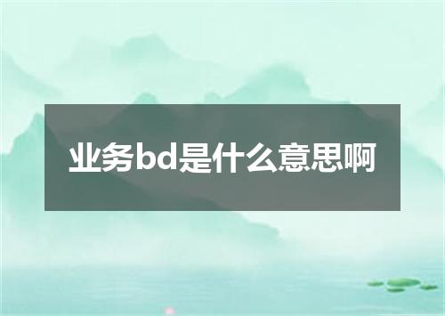 业务bd是什么意思啊
