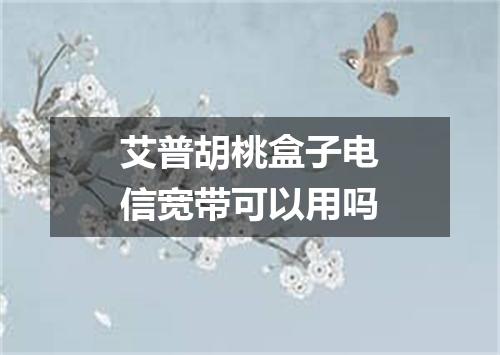 艾普胡桃盒子电信宽带可以用吗
