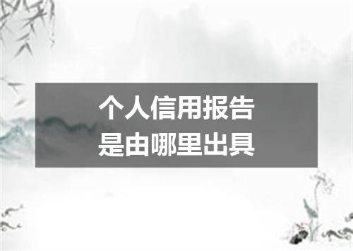个人信用报告是由哪里出具