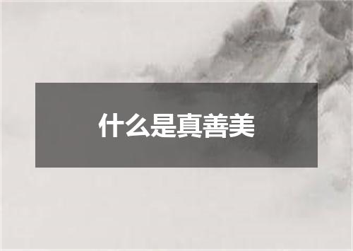 什么是真善美