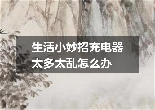 生活小妙招充电器太多太乱怎么办