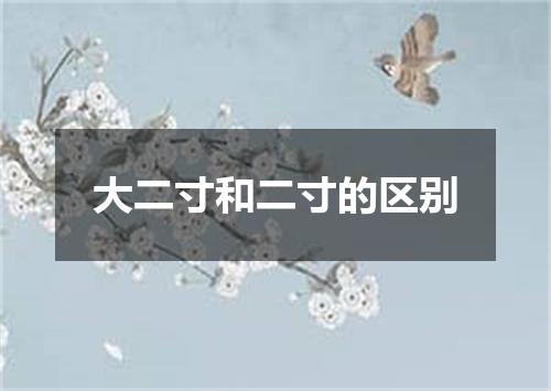 大二寸和二寸的区别