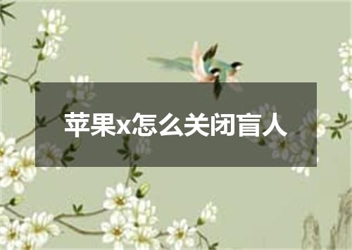 苹果x怎么关闭盲人