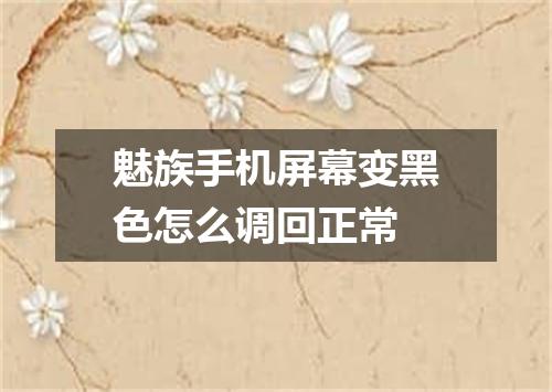 魅族手机屏幕变黑色怎么调回正常