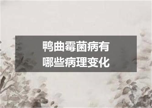 鸭曲霉菌病有哪些病理变化