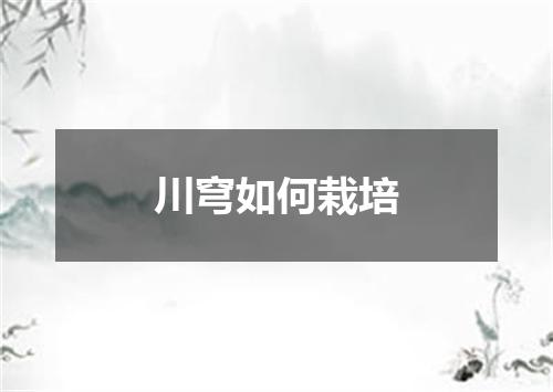 川穹如何栽培