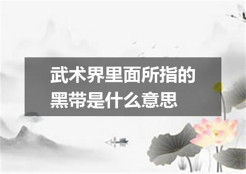 武术界里面所指的黑带是什么意思