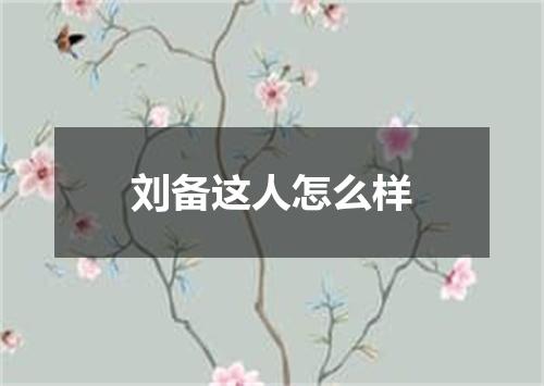 刘备这人怎么样