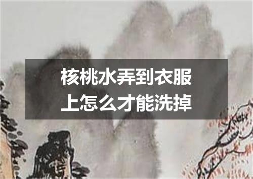 核桃水弄到衣服上怎么才能洗掉