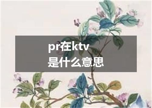 pr在ktv是什么意思