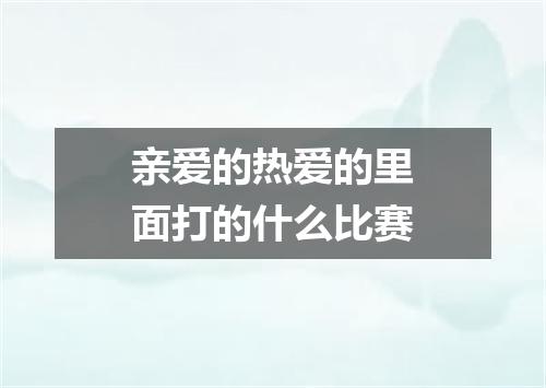 亲爱的热爱的里面打的什么比赛