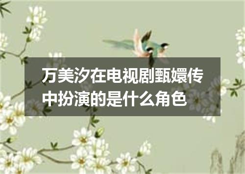 万美汐在电视剧甄嬛传中扮演的是什么角色