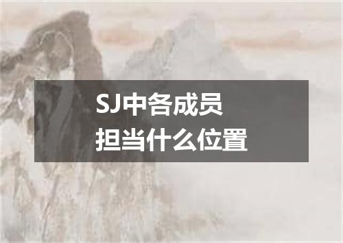 SJ中各成员担当什么位置