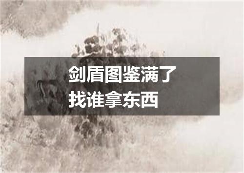 剑盾图鉴满了找谁拿东西