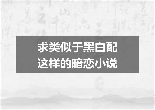 求类似于黑白配这样的暗恋小说