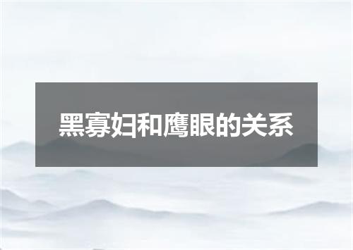 黑寡妇和鹰眼的关系