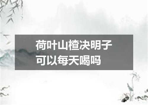 荷叶山楂决明子可以每天喝吗