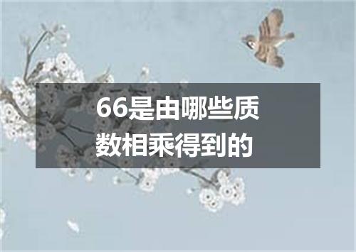 66是由哪些质数相乘得到的