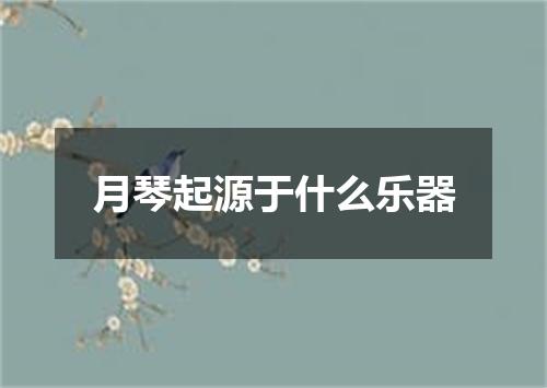 月琴起源于什么乐器